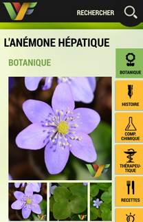 La WebFlore  - Liste des plantes