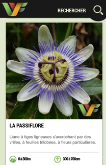 La WebFlore  - Fiche Plante